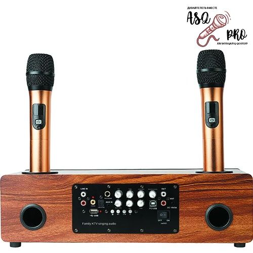 Караоке система ASQ PRO