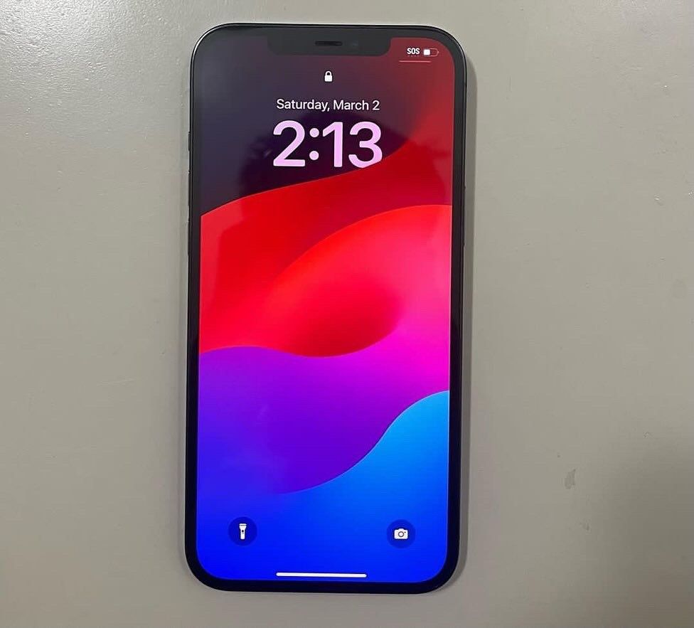 12 pro max 256gb