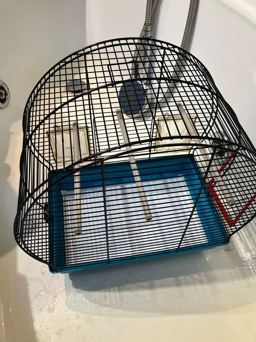 Colivie păsări mici