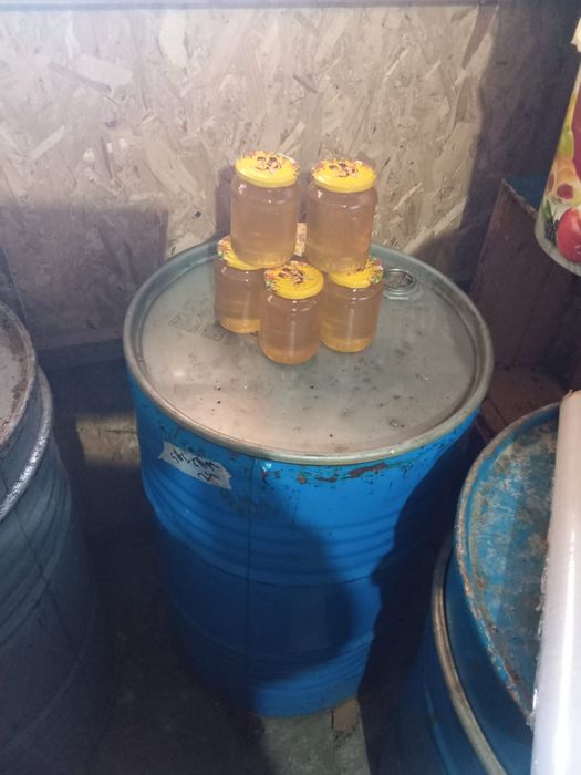 Vand miere de albine,sortiment miere de salcam