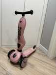 Самокат-беговел SCOOT AND RIDE