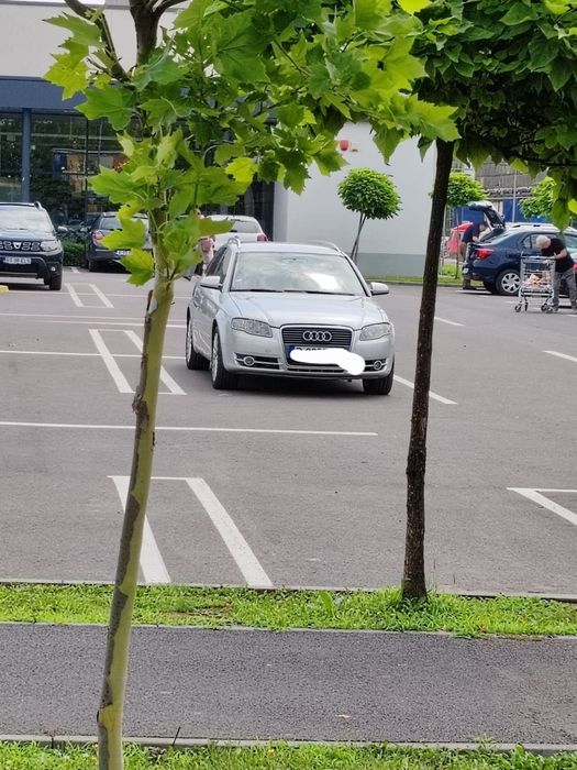 Audi A4 B7 Avant 170 CP