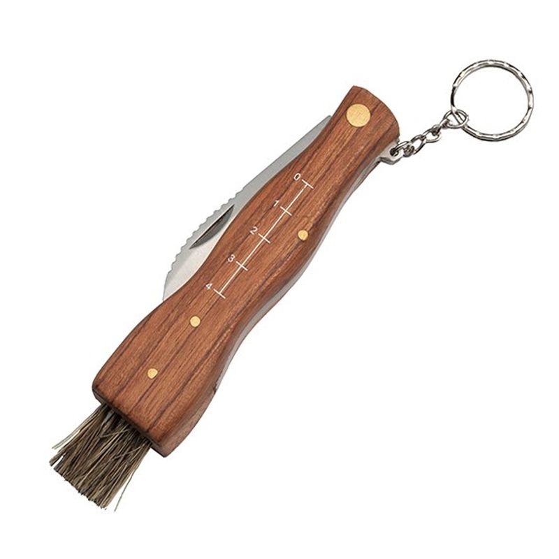 Briceag pentru ciuperci, Pilzliebhaber, otel inoxidabil, 21 cm, maro