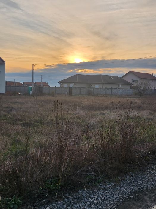 Teren casa Vladimirescu