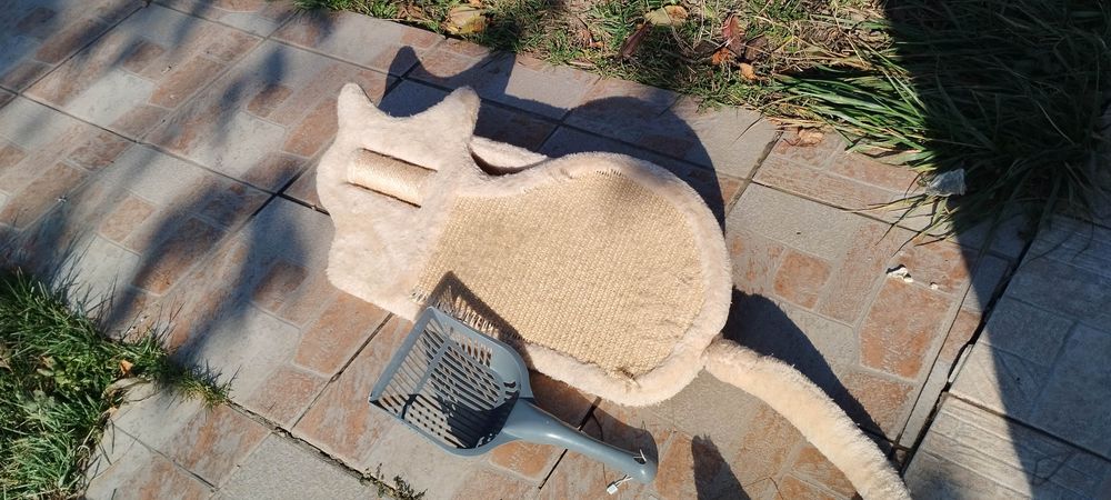 Articole pisici jucause și cutie creștere pui