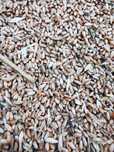 Vand grau,ovaz,triticale productie 2025