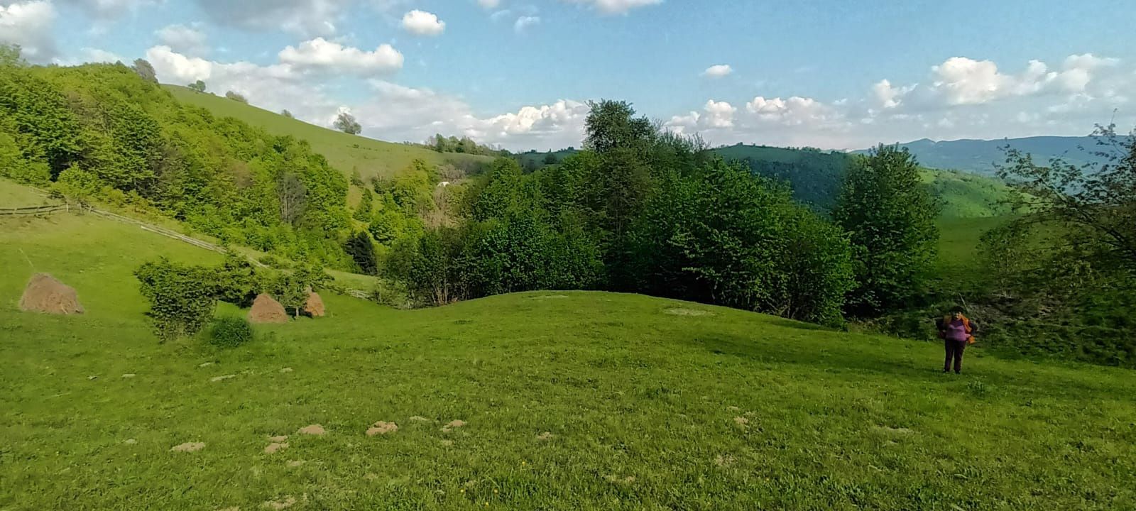 Teren de vânzare în Apuseni