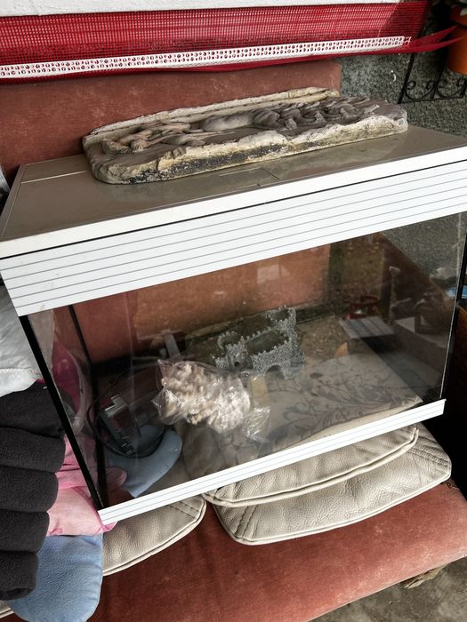 Acvariu pesti/broaste testoase