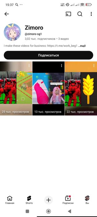 Ютуб канал 3000 подписчик бар