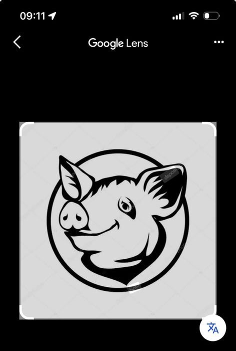 Porc de vanzare bio