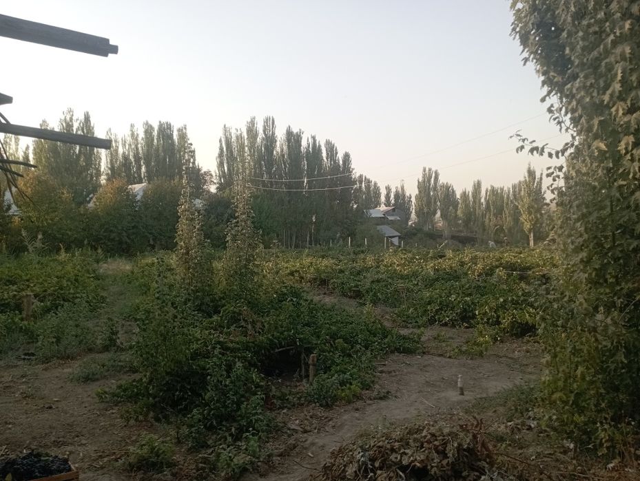 Yer, uchaska sotiladi,gaz,suv,svet,oqava,suv,maktab,bozor hammasi bor