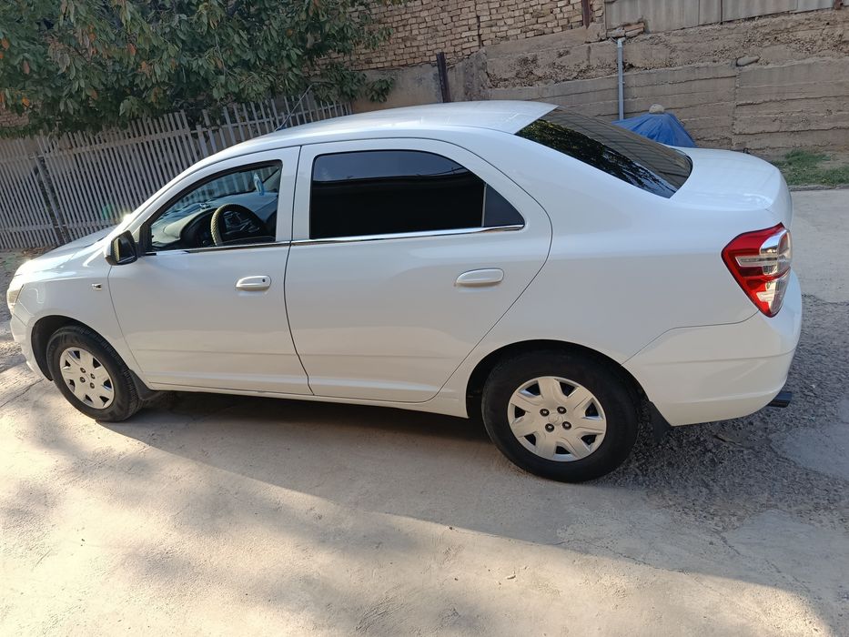 Срочно сотилади кобилт