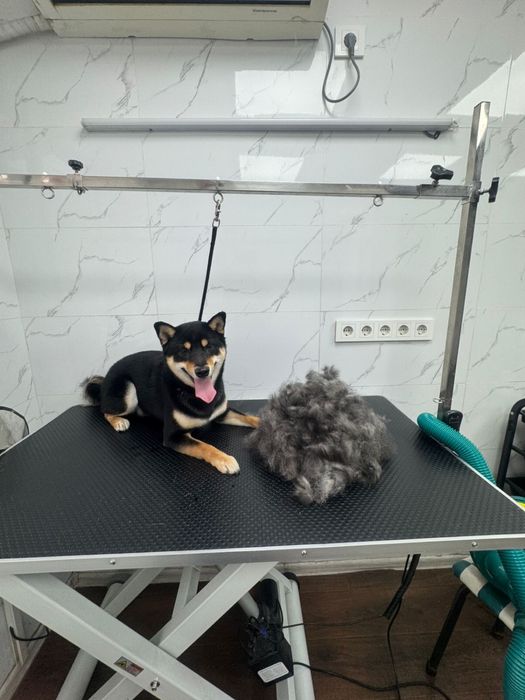 Груминг кошек и собак