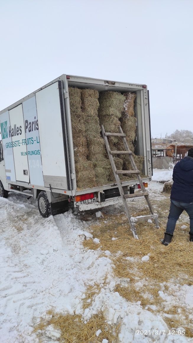 Грузоперевозки Переезды Услуги Газели Перевозка Доставка мебели вещей