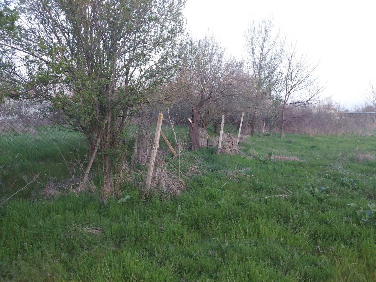 Продава се Парцел в с. Пъстрен, Област Стара Загора - 1414 кв.м за 3 €/кв.м - Снимка #7