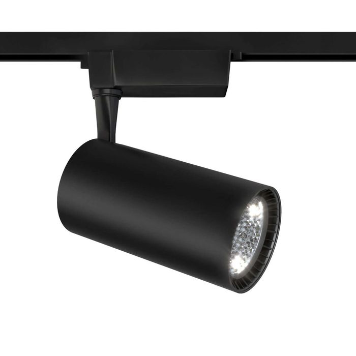 Светильник Maytoni TR003-1-40W4K-B