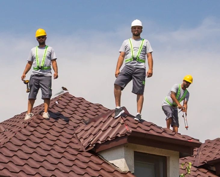 Acoperișuri Complete Și Reparatii Acoperiș