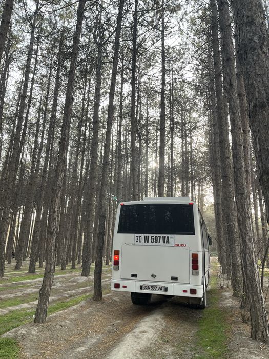 Aftobus Zakaz Samarqand