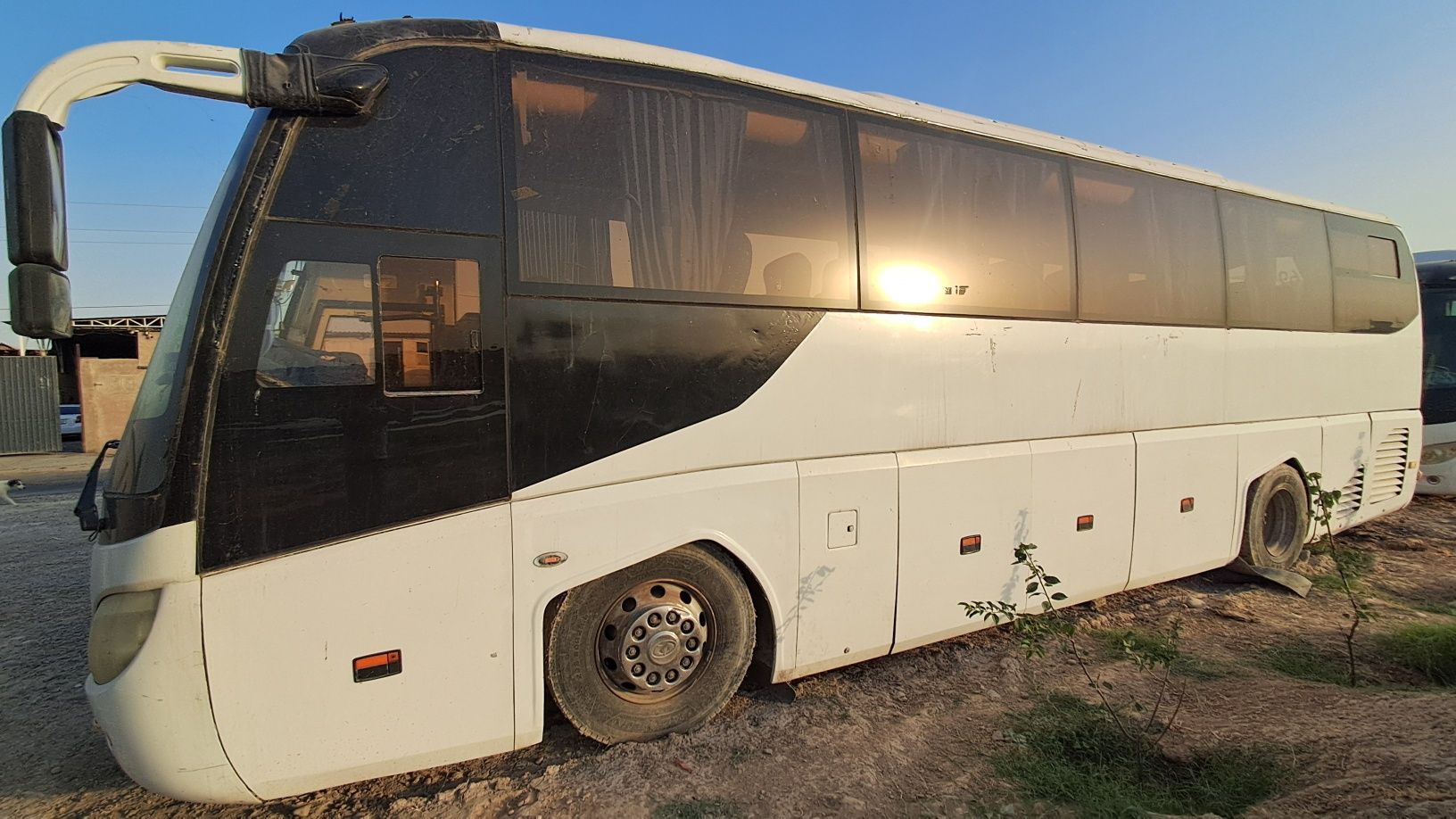 Avtobus Zonda sotiladi