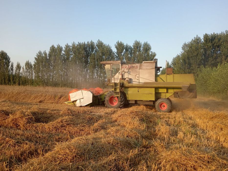 Kilas kanbayin sotiladi xolati yaxshi