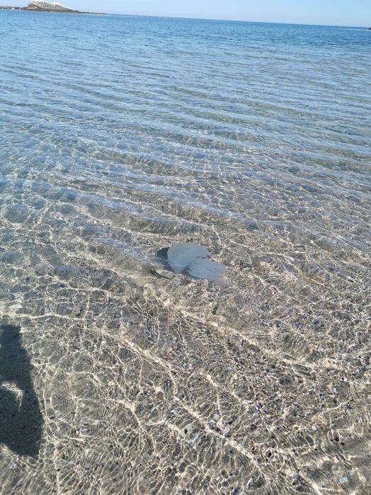 Уютен дом на брега на морето с уникална гледка