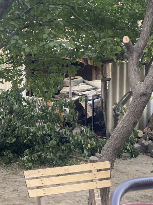 Бесплатно дрова для всего