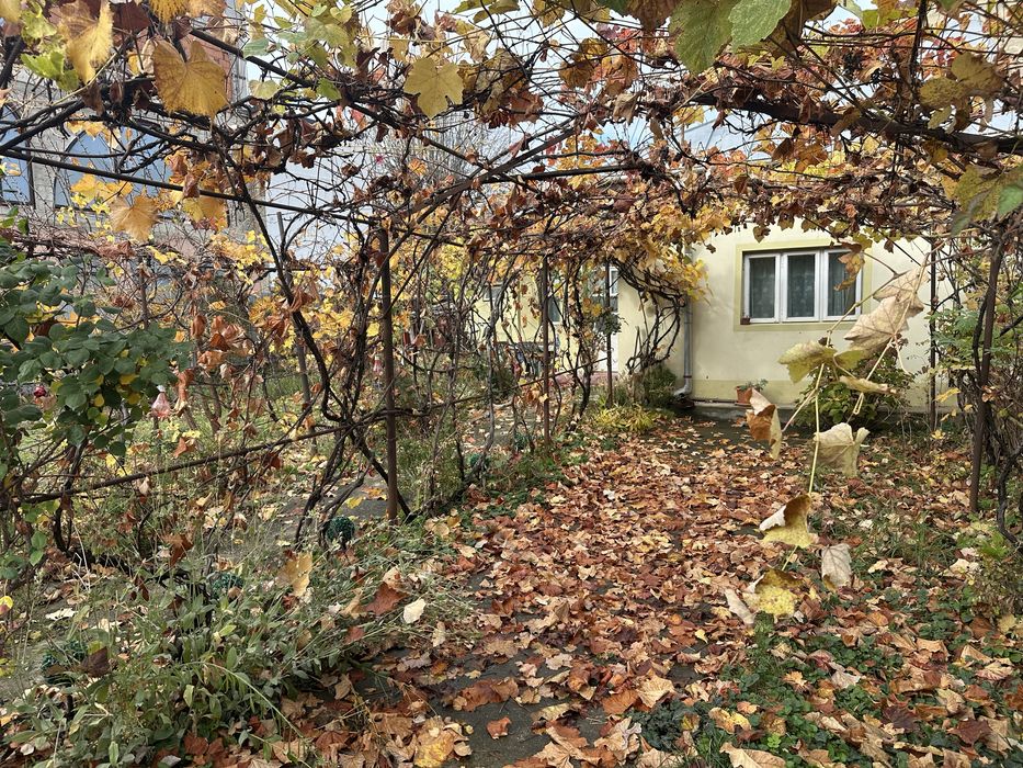 Casa de vanzare in Targoviste zona (Bulevardul castanilor)