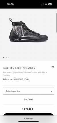 Dior B23 high top sneakers