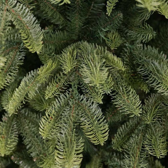 Brad artificial de Craciun Royal Alpen Spruce 180 cm