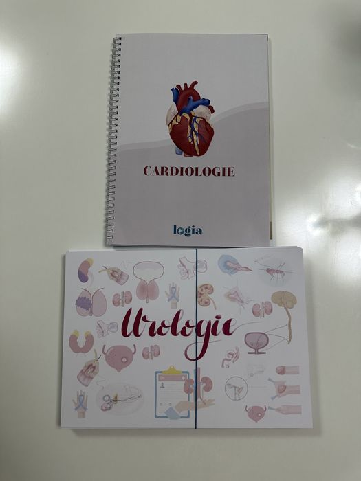 Planse Logia- materiale rezidentiat