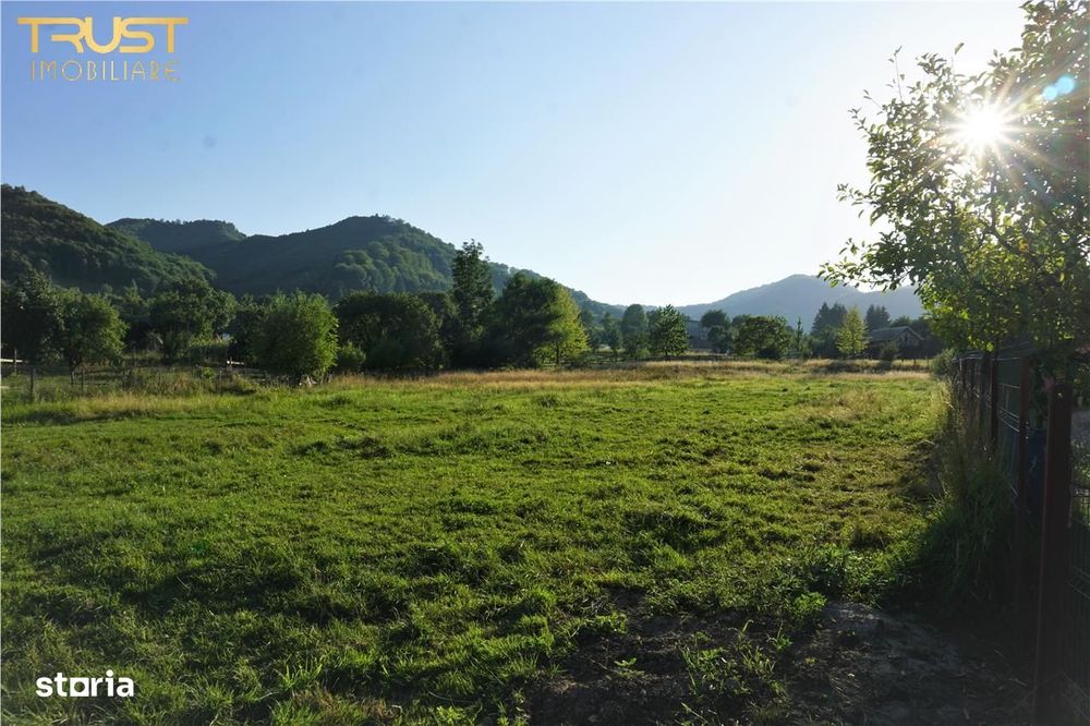 Teren intravilan Bistrita Birgaului, schimb cu apartament