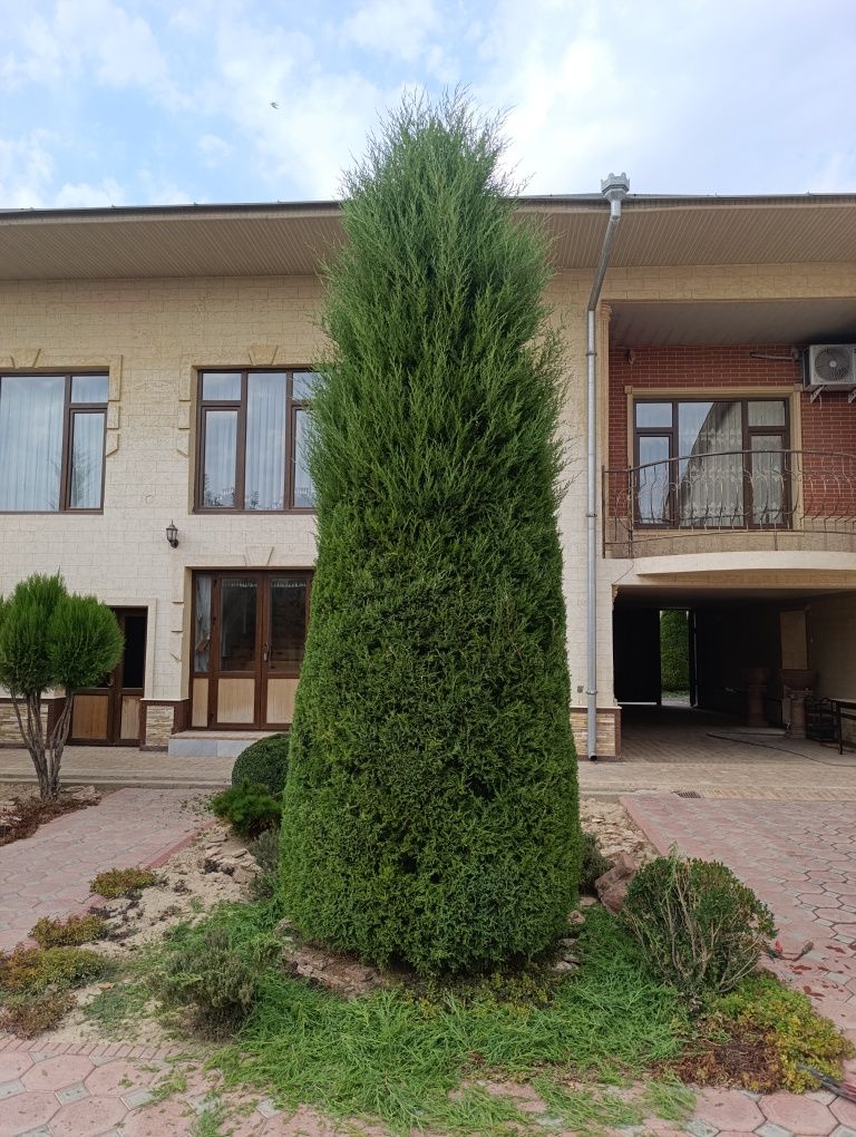 Садовник Garden богбон