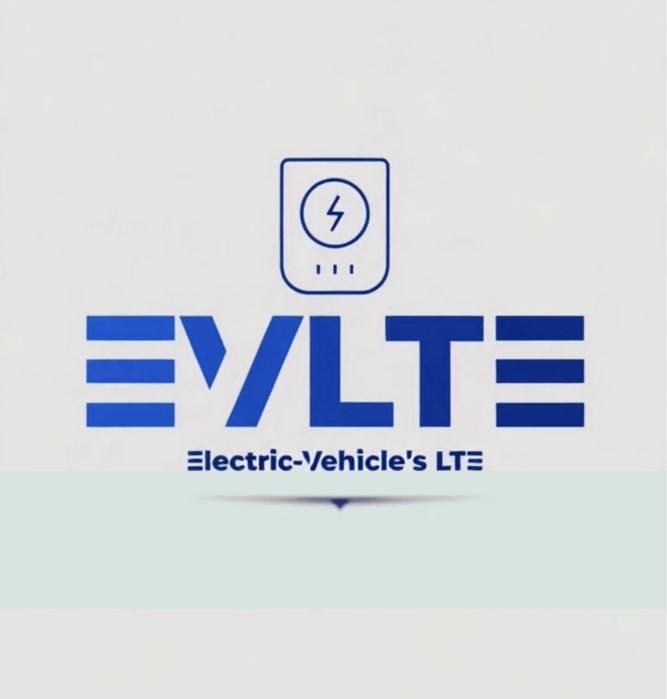 BYD zaryadka зарядка official original