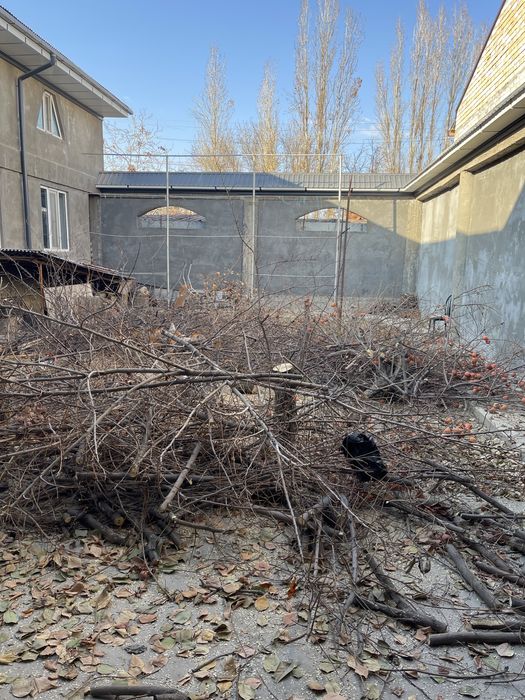 O’tin bor, muhtojlar olishi mumkin