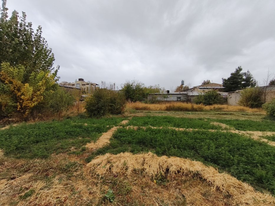 Panjobda 25 sotok yer