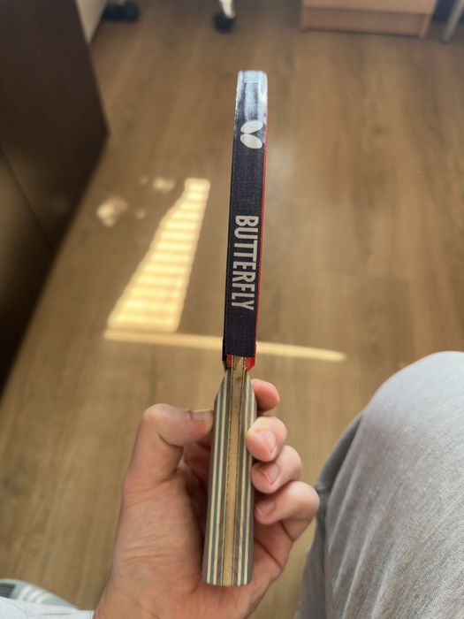 Viscaria FL + Dignics 09c/Dignics 05