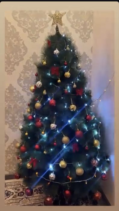 Елка  в очень хорошем состоянии