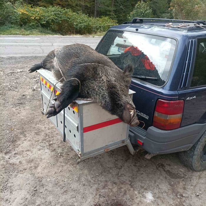 Транспортна клетка за ловни кучета
