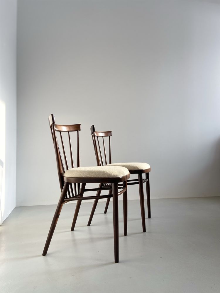 Отреставрированные стулья(дизайнер Антонин Шуман)