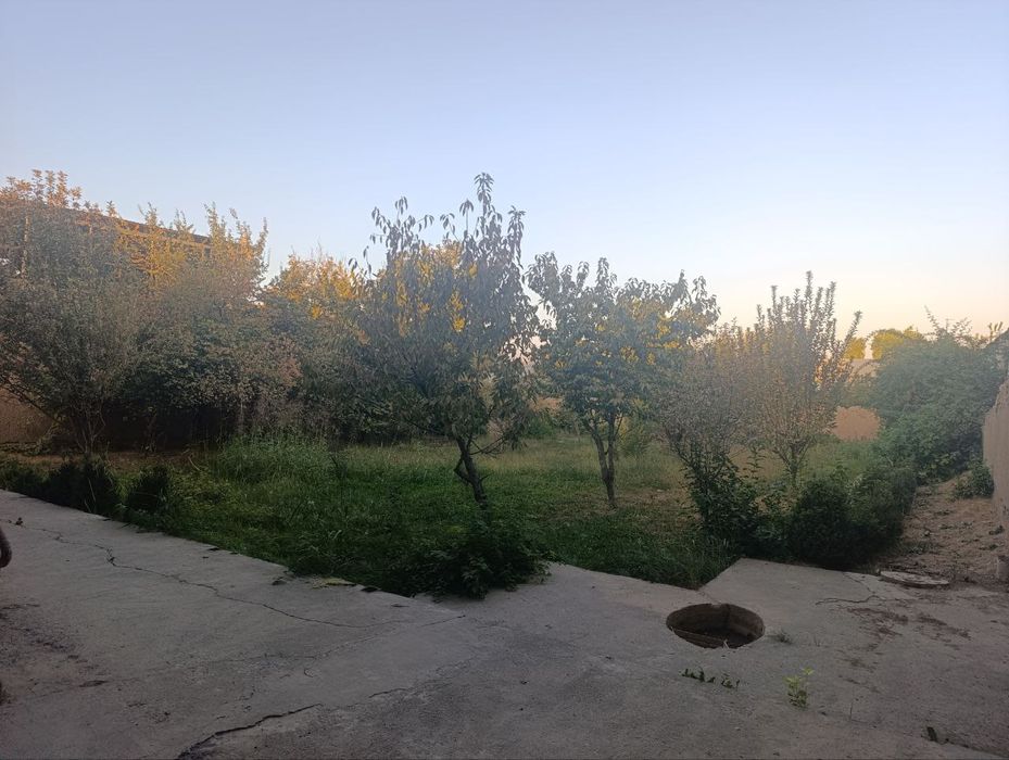 Xasanboyda kirganda Navoyi kalxozda yer Uchaska sotiladi 12 sotix