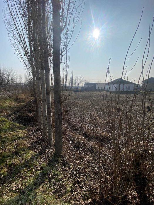 Куйи Чирчикда 10 соток ер майдони сотиляпти