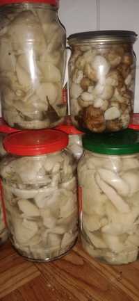 Продам грибы грузди, валуи  вешенки маринованные