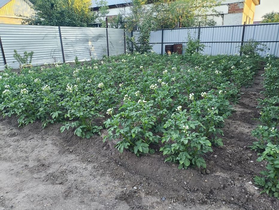 Продается благоустройстроенный дом дом