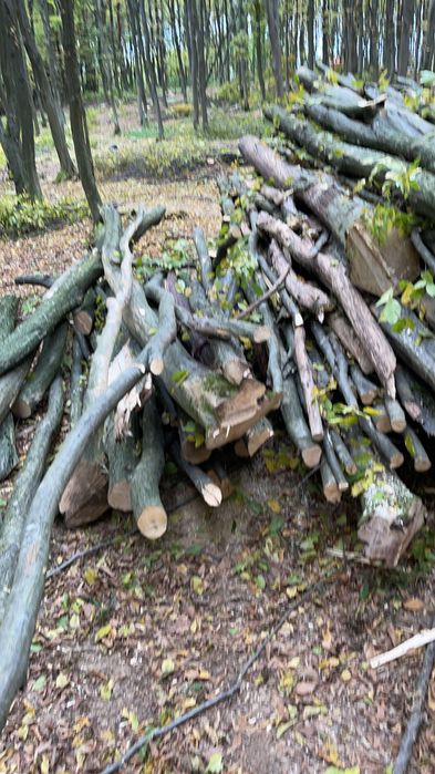 Debarasez moloz sparg demolez mobilă, etc cu tot cu transport