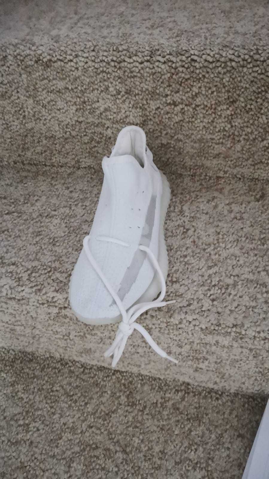 adidas yeezy  transport inclus