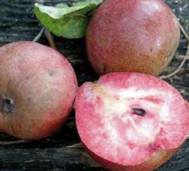 Par Busuioace cu Miezul Rosu