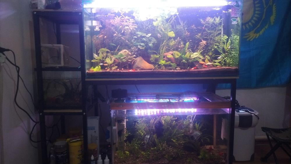 Продам готовый красивый аквариумы