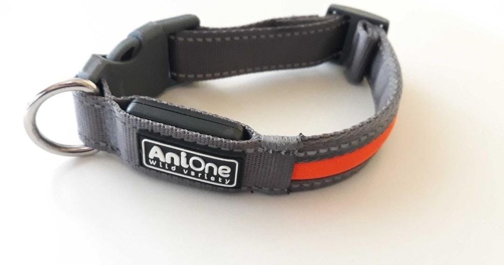 Zgarda caini AniOne cu LED , reglabila , Reincarcabila