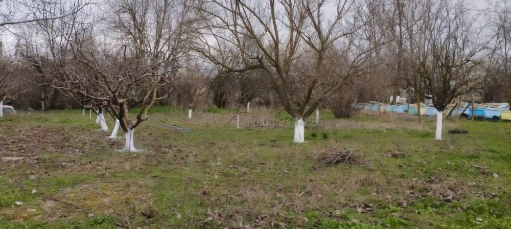 Голям двор с допълнителни постройки-с. Бояджик