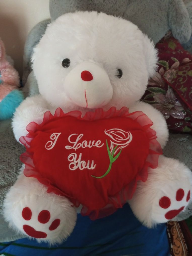 Ayiqlar ayiqchalar teddy
